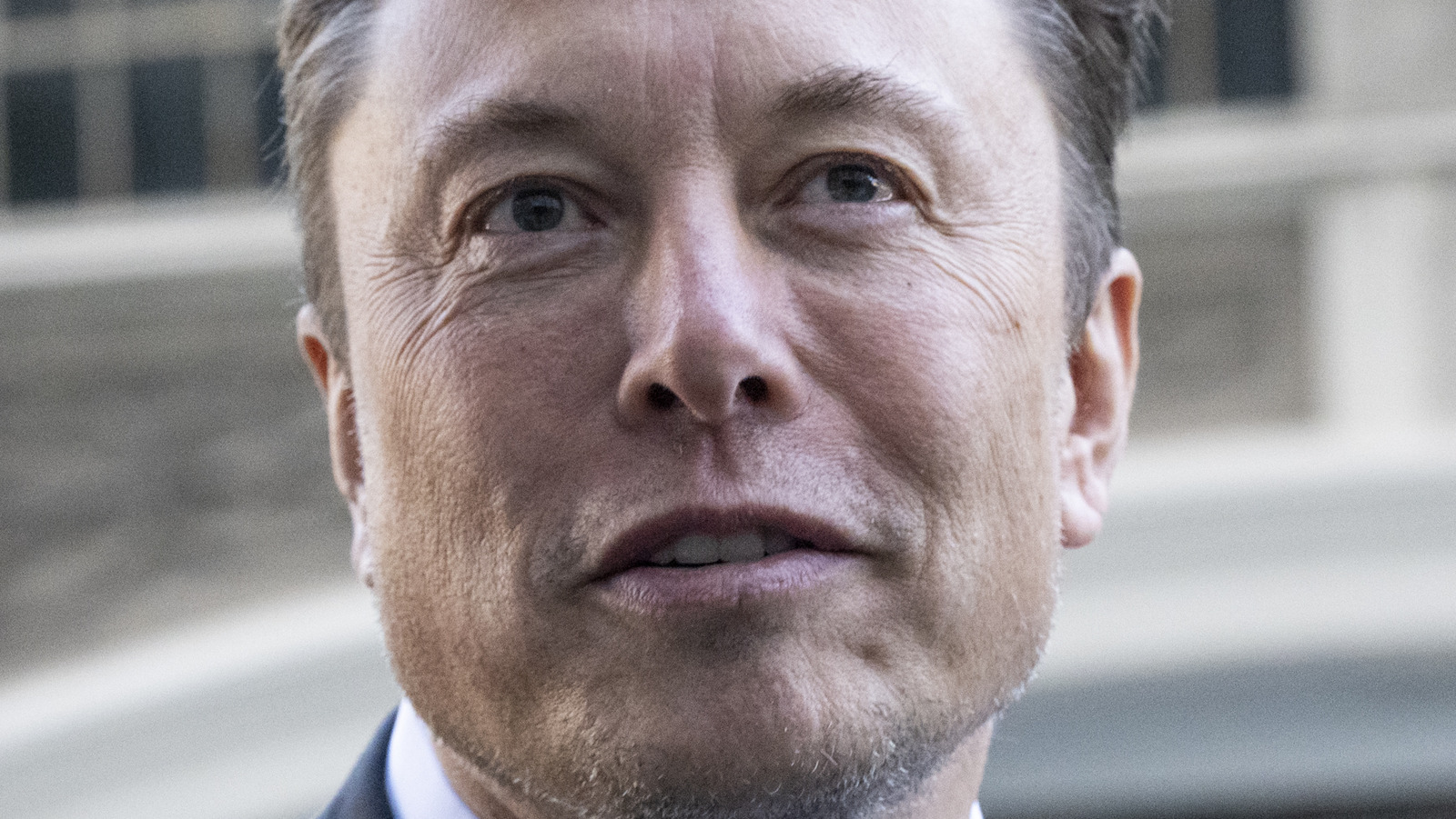 Elon Musk reacciona a Logan Paul