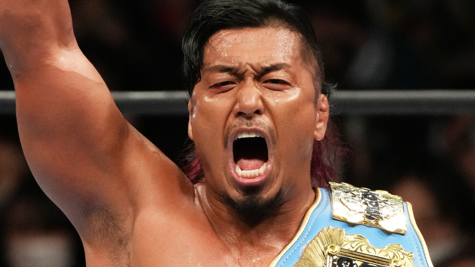 NJPW usa reglas de MMA para próxima pelea