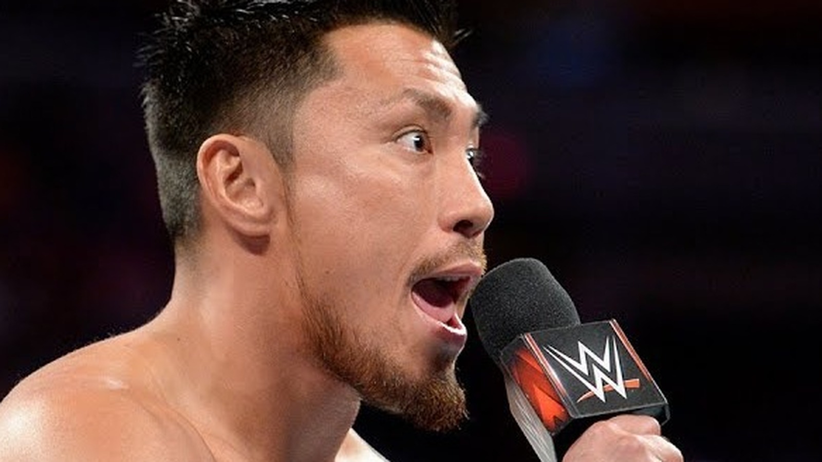 Según los informes, Akira Tozawa y otros tenían planes desechados en WWE Raw