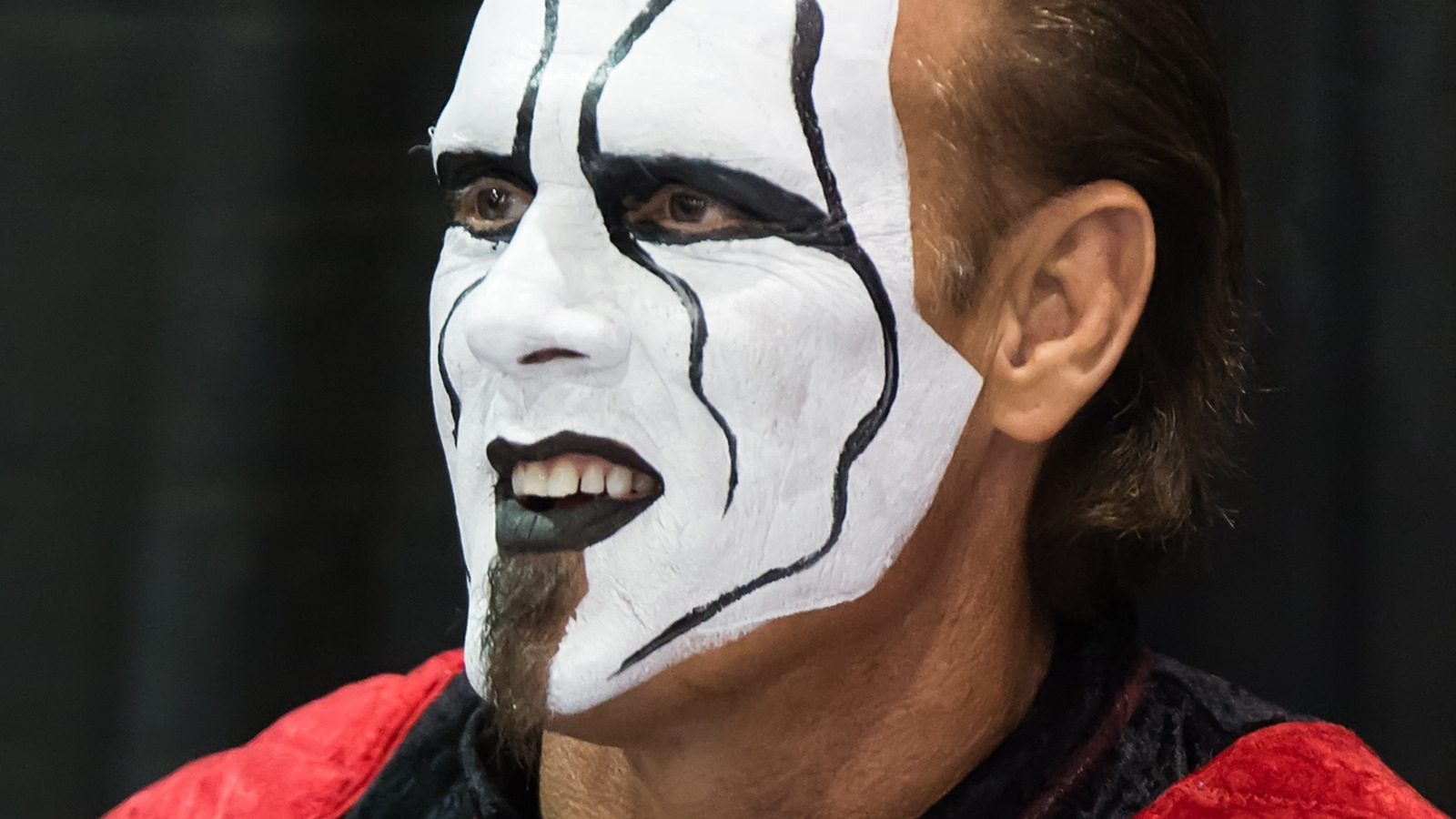 Sting admite que su carrera no se desarrolló como él pretendía