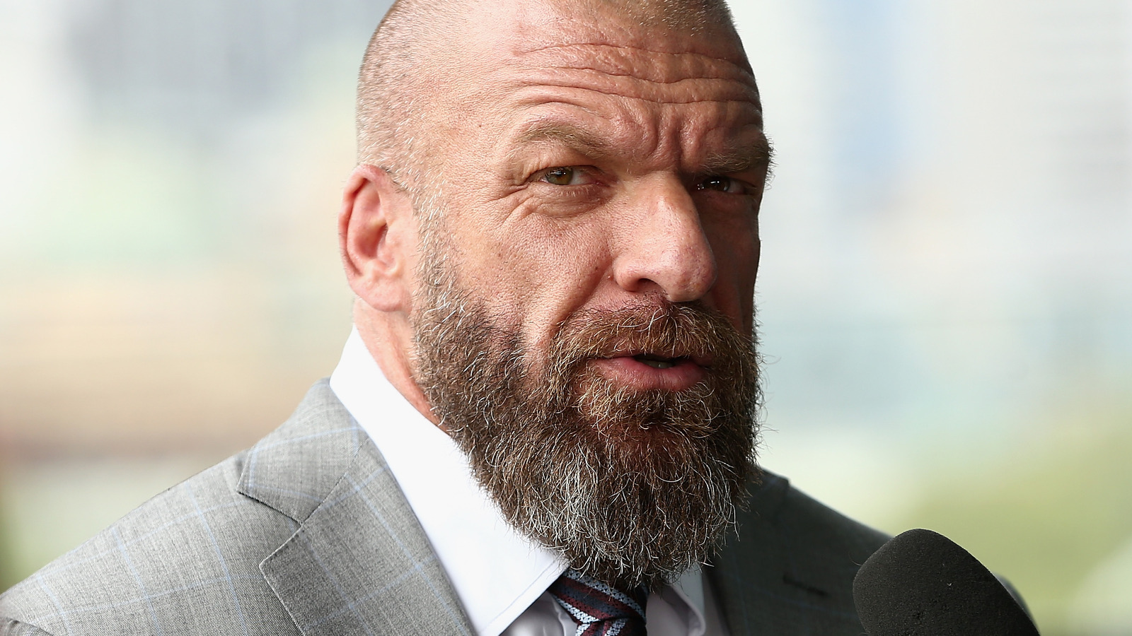 Los informes de que Triple H está decepcionado con las superestrellas de la WWE recontratadas son falsos