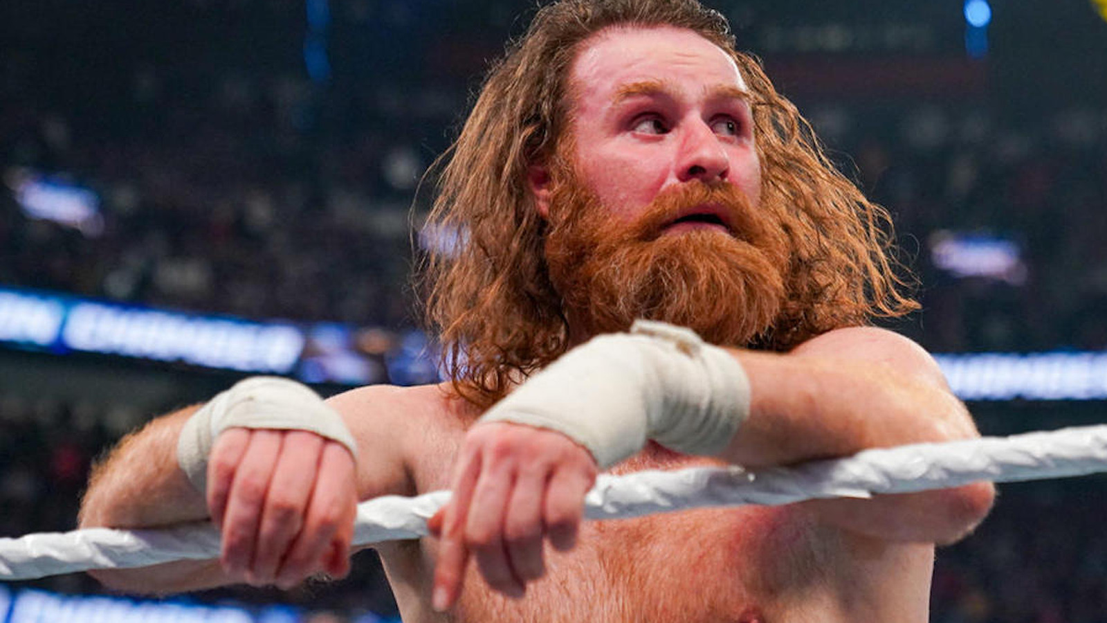 WWE comparte fotos brutales de la espalda de Sami Zayn después del combate con Roman Reigns