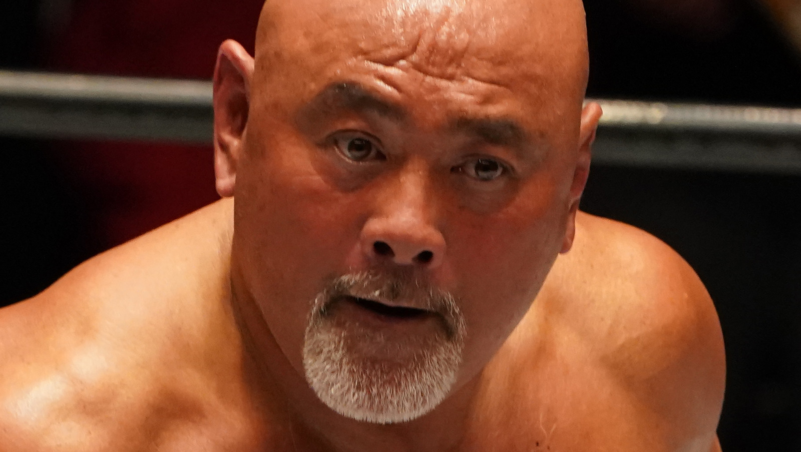 Leyendas de NJPW Keiji Muto y Seiji Sakaguchi honrados por el gobierno japonés