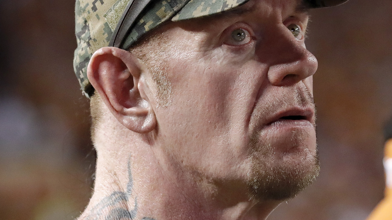 The Undertaker elogia el crecimiento de Roman Reigns como personaje