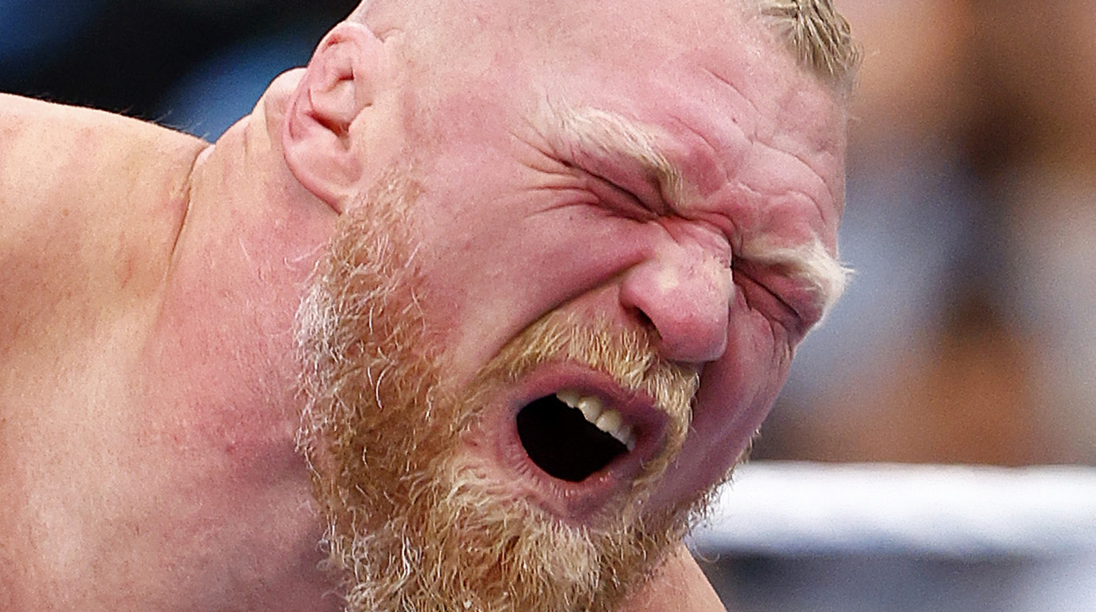 Bully Ray tiene tres ideas para continuar con la pelea entre Brock Lesnar y Cody Rhodes de la WWE