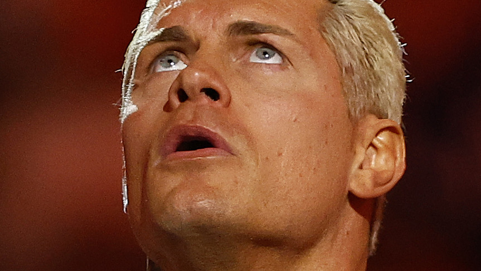 Cody Rhodes desafía a Brock Lesnar a una revancha y explica por qué no hizo tapping en WWE Night Of Champions