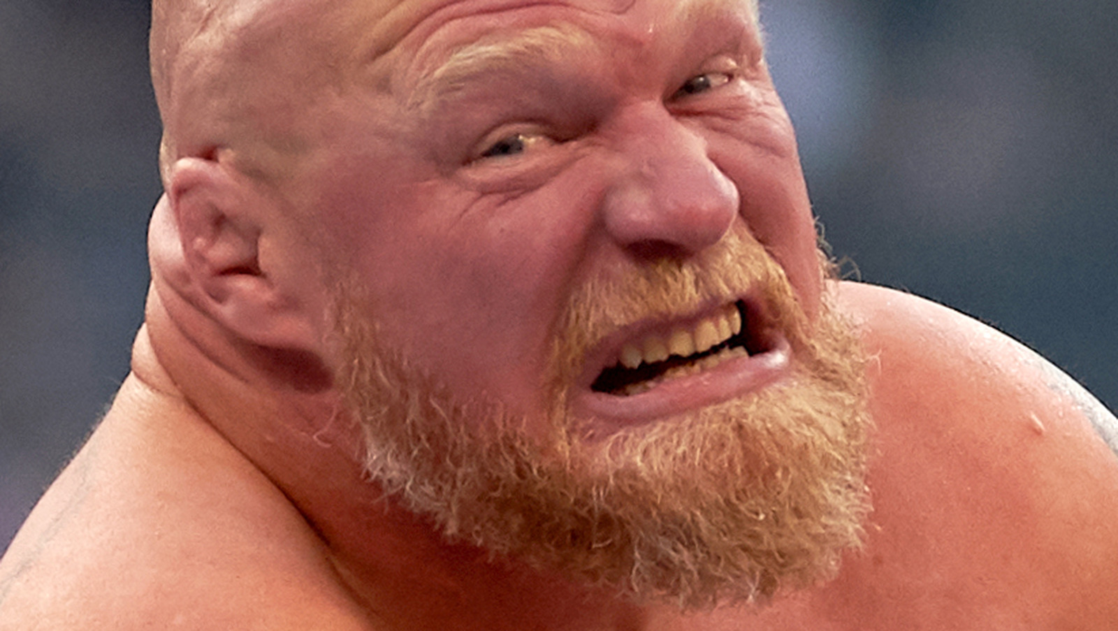 Cody Rhodes se enfrentará a Brock Lesnar en Night of Champions