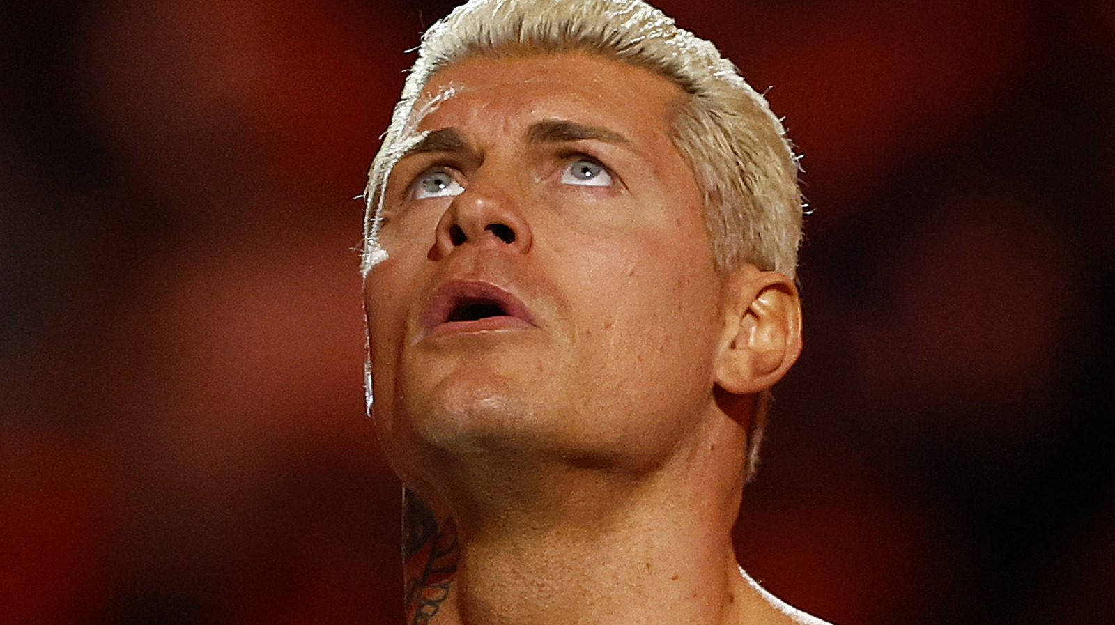 Jake Roberts espera que Cody Rhodes se convierta en campeón y mantenga el título por mucho tiempo