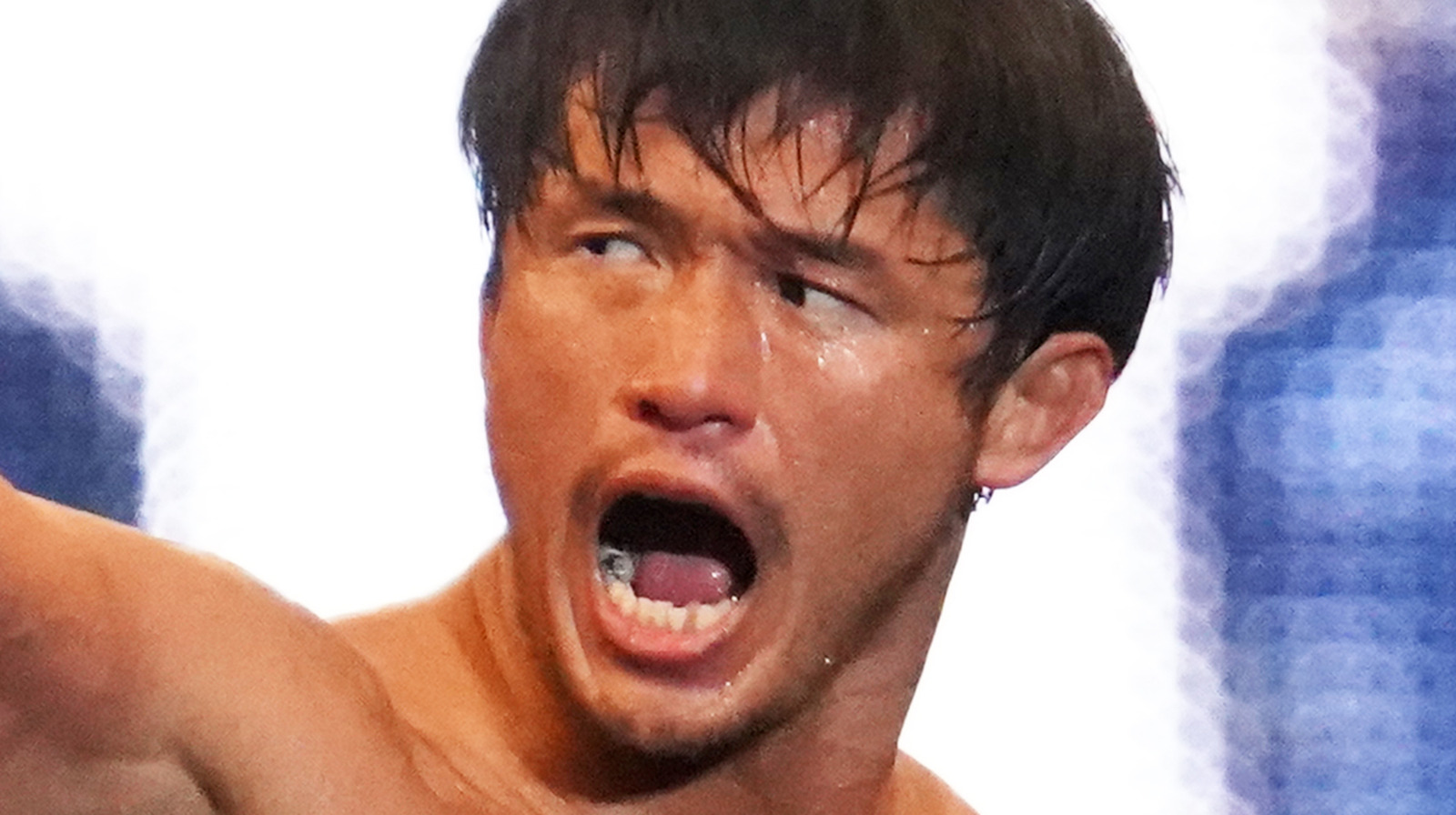 Kevin Knight de NJPW compara al 'tío disciplinado' Shibata y al 'tío divertido' KUSHIDA