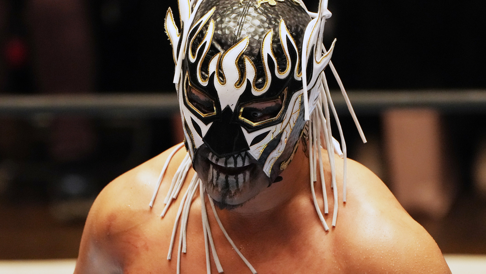 NJPW Star El Desperado competirá en GCW Tournament Of Survival