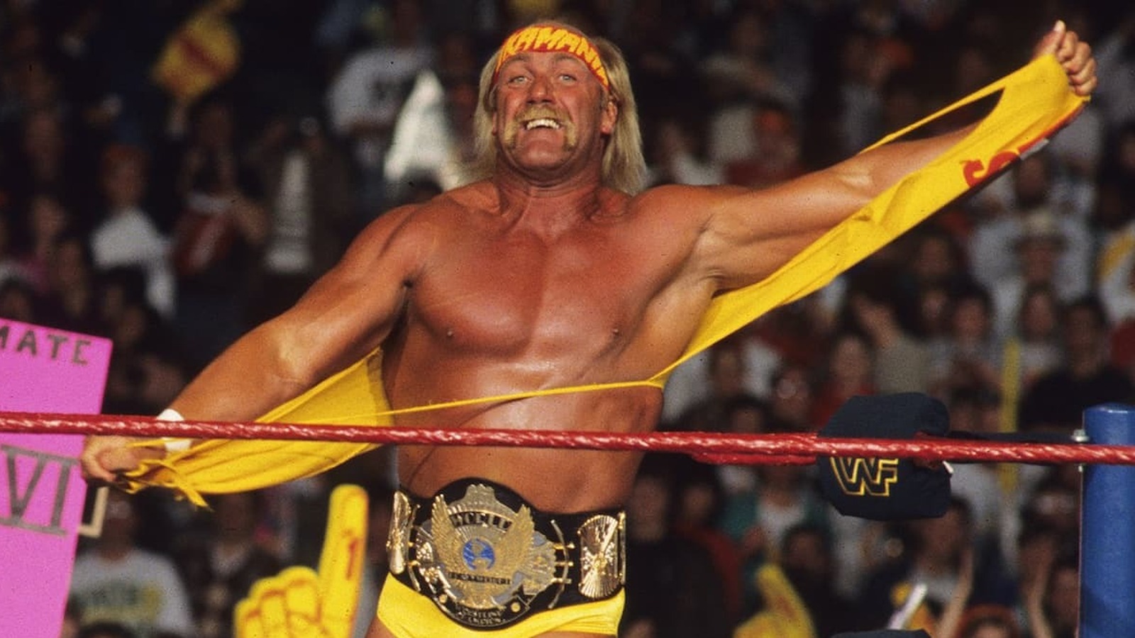 El 86% de los fanáticos dicen que Hulk Hogan no necesita luchar nunca más