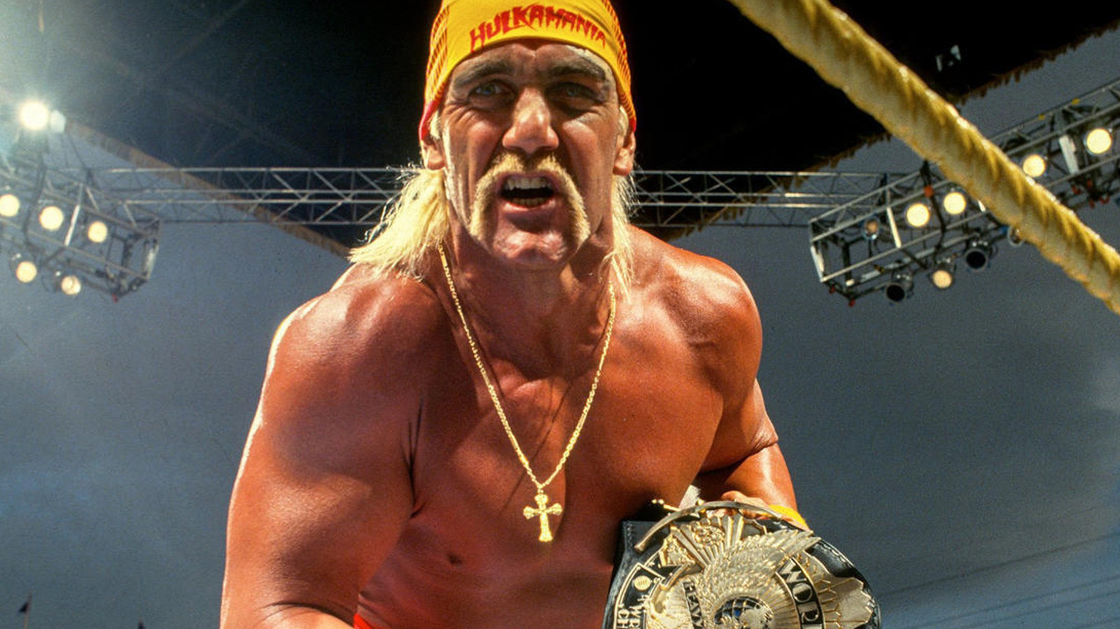 Hulk Hogan dice que la lucha libre profesional no es un trabajo, a pesar de tener un guión