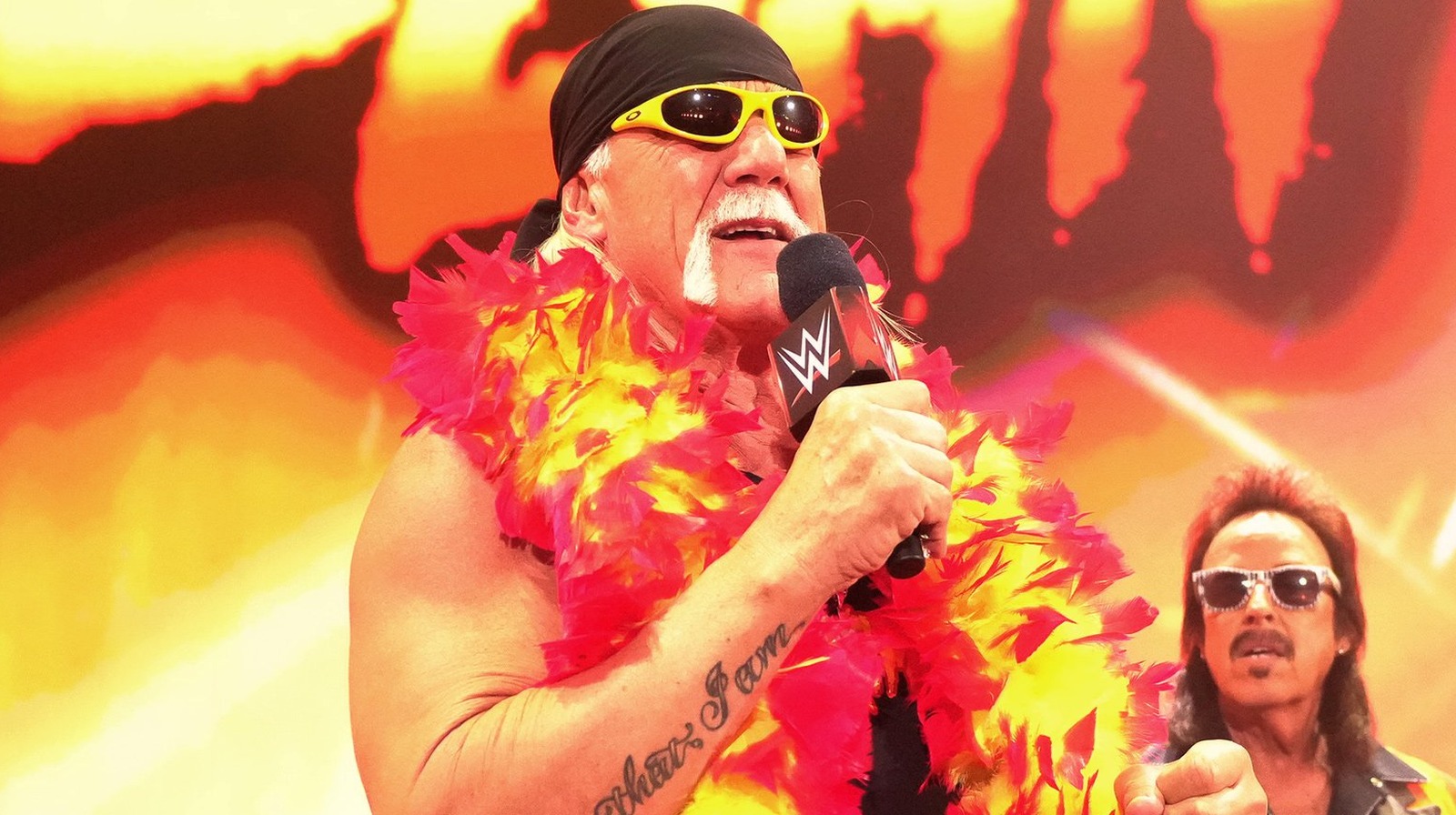 Hulk Hogan sobre cómo Andre The Giant hizo su carrera