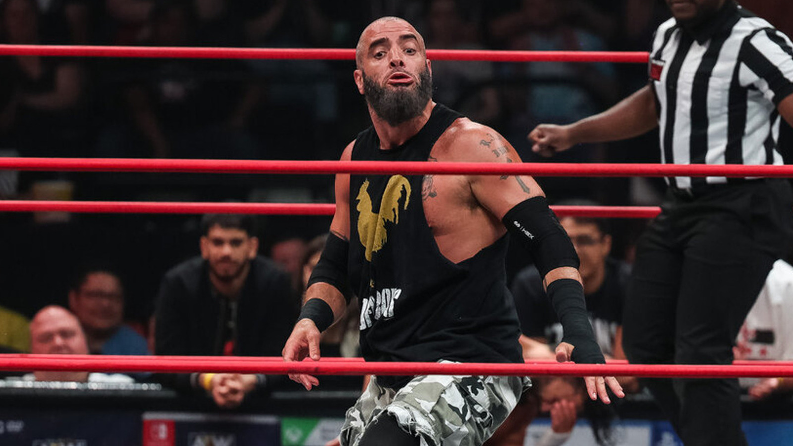Mark Briscoe fue retirado de la lucha por el título mundial de ROH en Death Before Dishonor