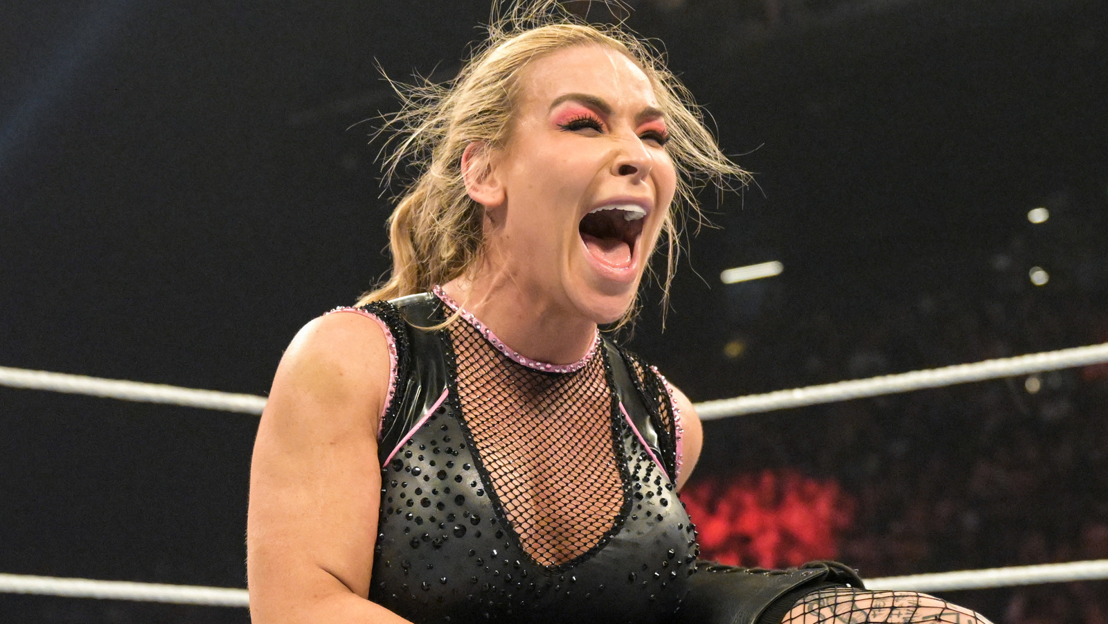 Natalya sobre estar orgullosa de su cuerpo de trabajo en la WWE