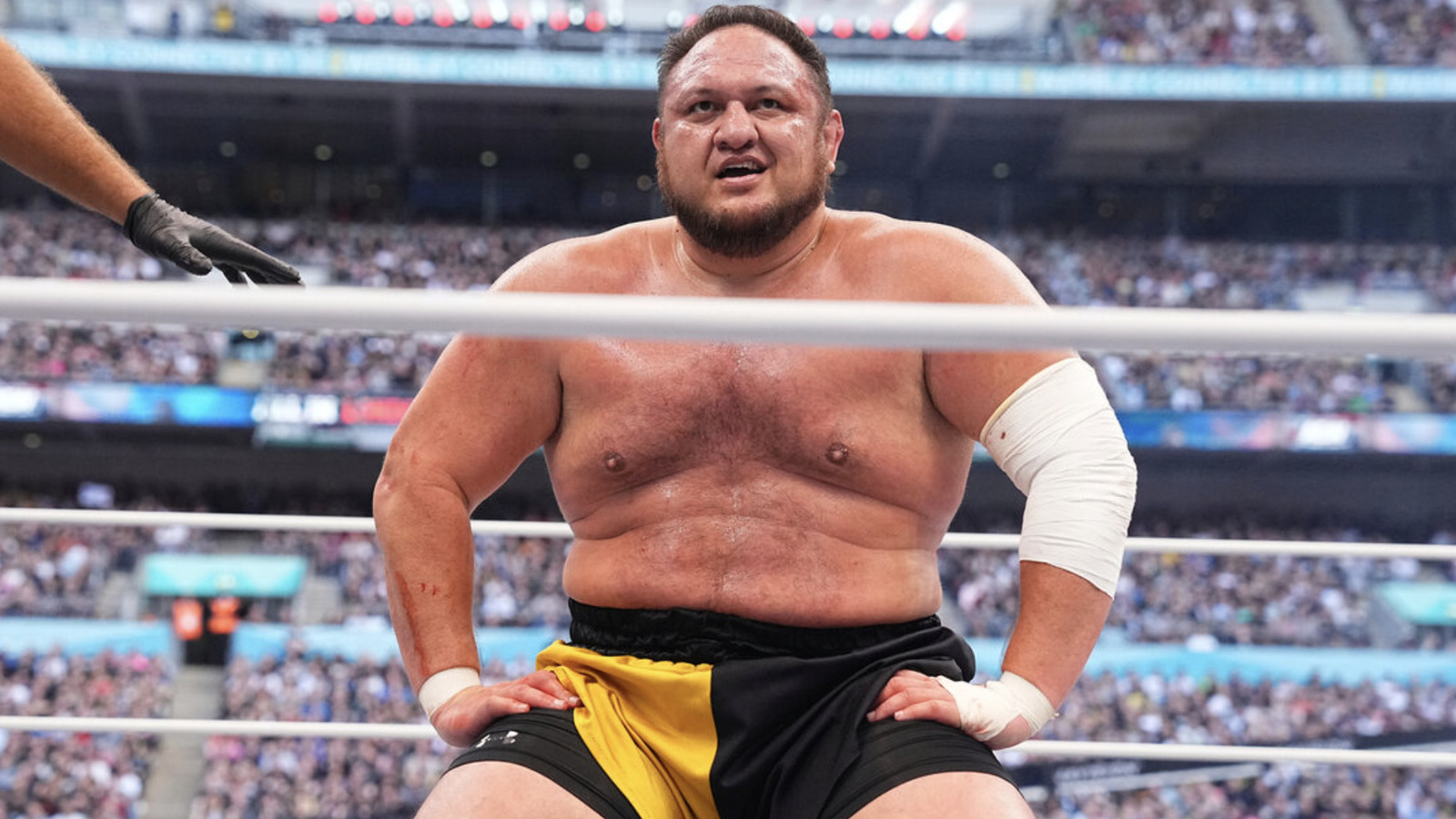 Samoa Joe vs.  Shane Taylor por el título televisivo mundial de ROH anunciado para AEW All Out