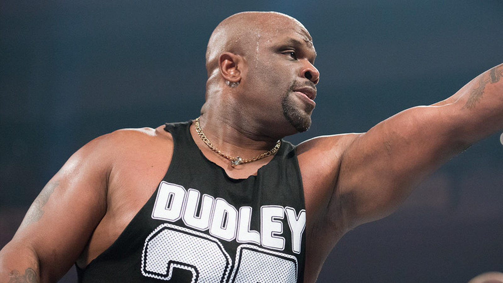 D-Von Dudley habla sobre firmar acuerdos de leyendas de la WWE con Bubba Ray