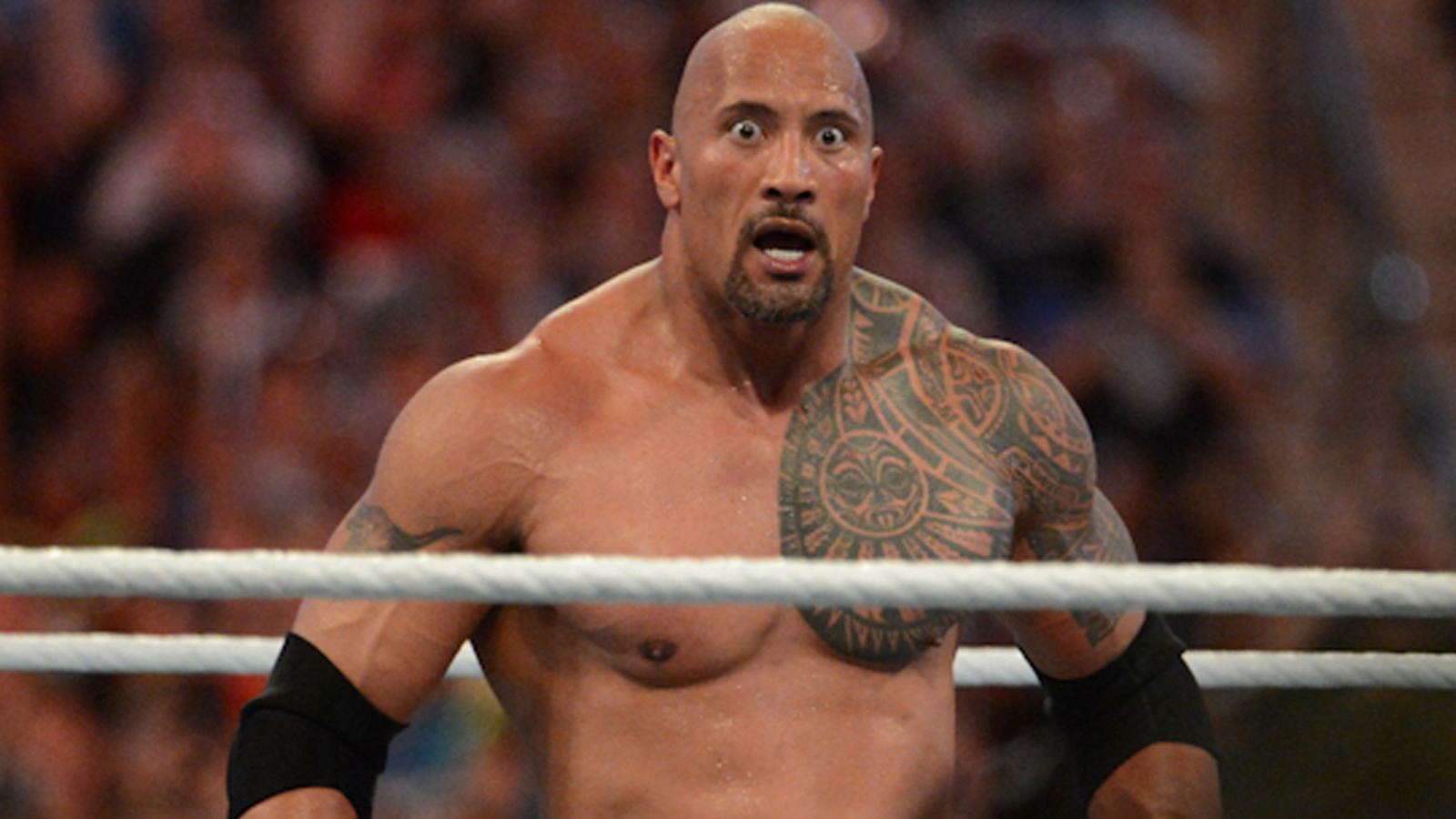 El 70% de los fanáticos quieren que The Rock se enfrente a un oponente específico si regresa al ring en la WWE