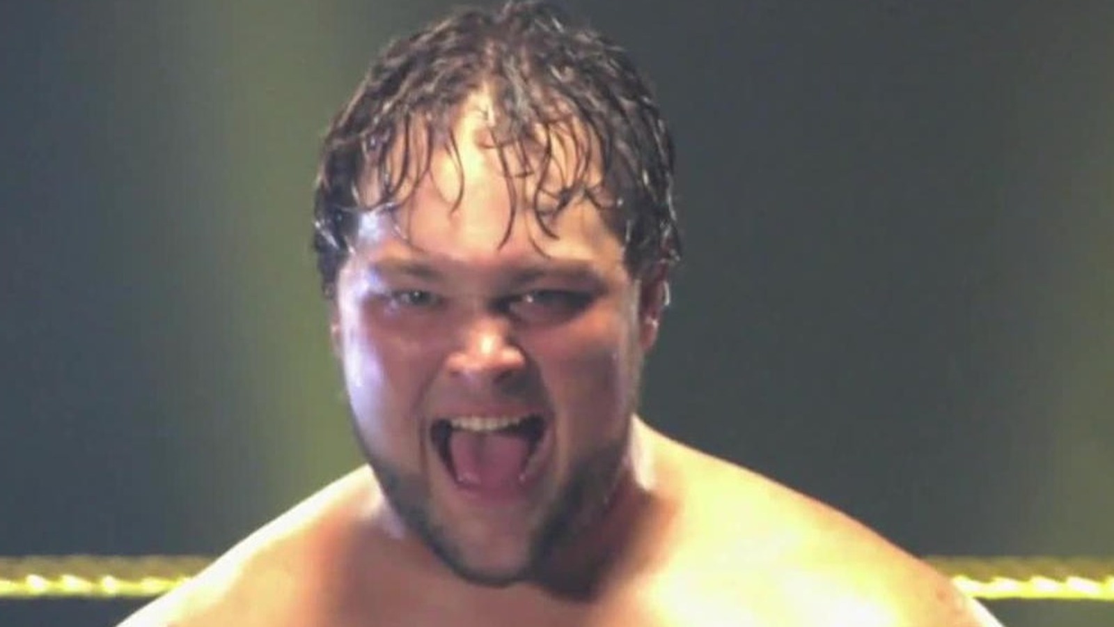 Matt Hardy sobre el disgusto de Windham Rotunda por el truco de la WWE anterior a Bray Wyatt, Husky Harris