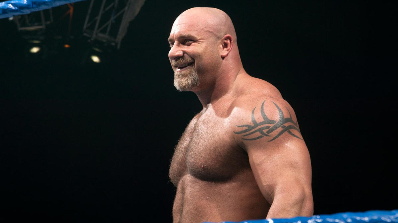 Ted DiBiase duda del valor de Goldberg por el empujón que recibió en la lucha libre profesional