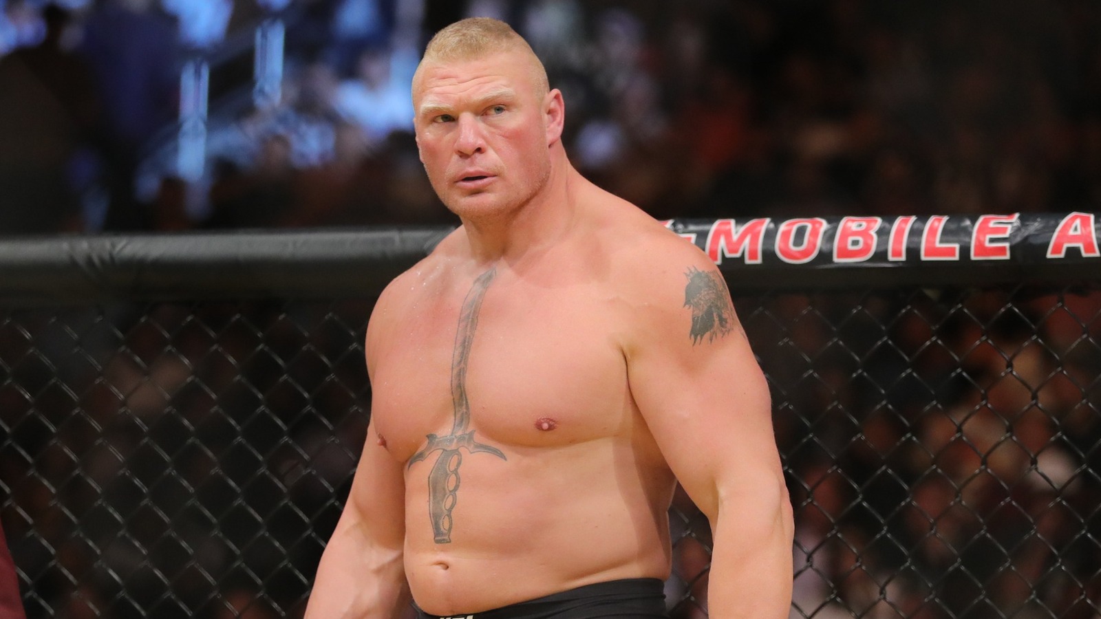 Se informa que se revelan los pagos de UFC de Ronda Rousey, Brock Lesnar y CM Punk
