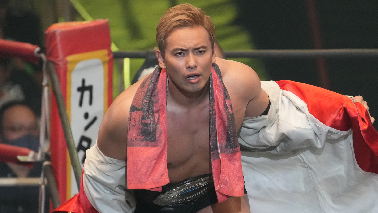 NJPW anuncia que Wrestle Kingdom 18 ha alcanzado un hito impresionante