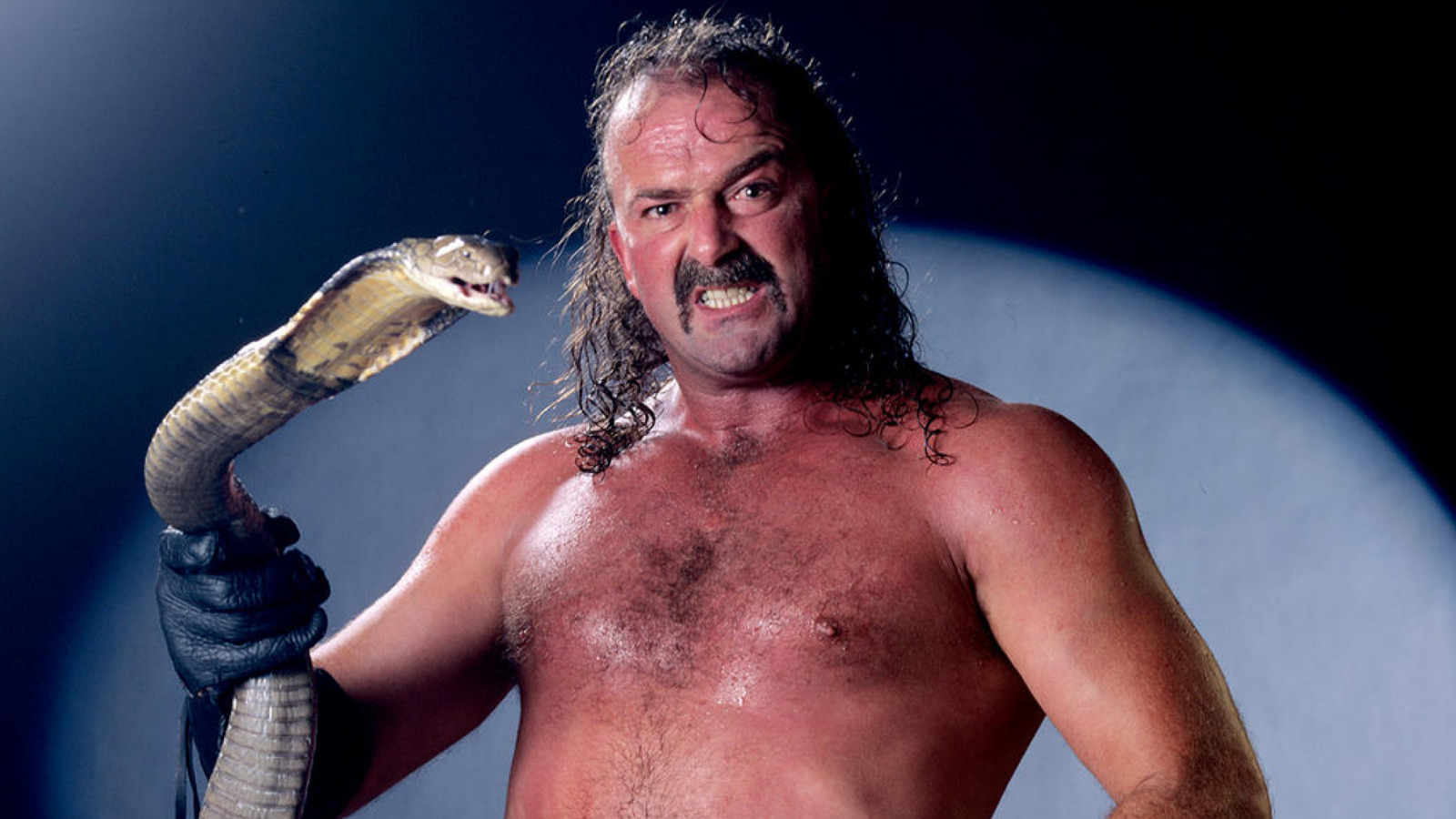 Tommy Dreamer evalúa el legado del miembro del Salón de la Fama de la WWE Jake The Snake Roberts