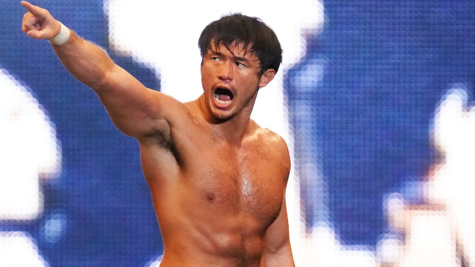 Águila pescadora vs.  Shibata, Strickland vs.  Takeshita, Más