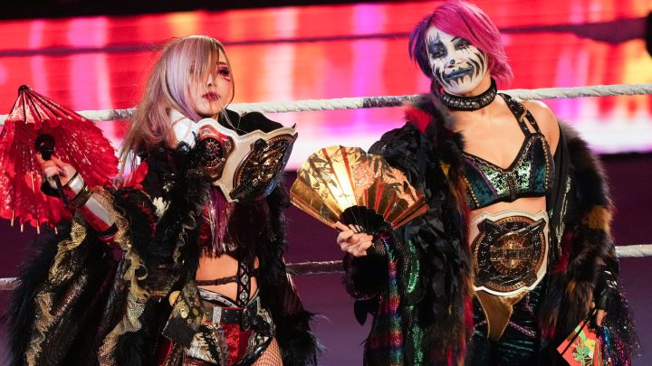 Dave Meltzer especula sobre el futuro de los títulos femeninos en parejas de la WWE