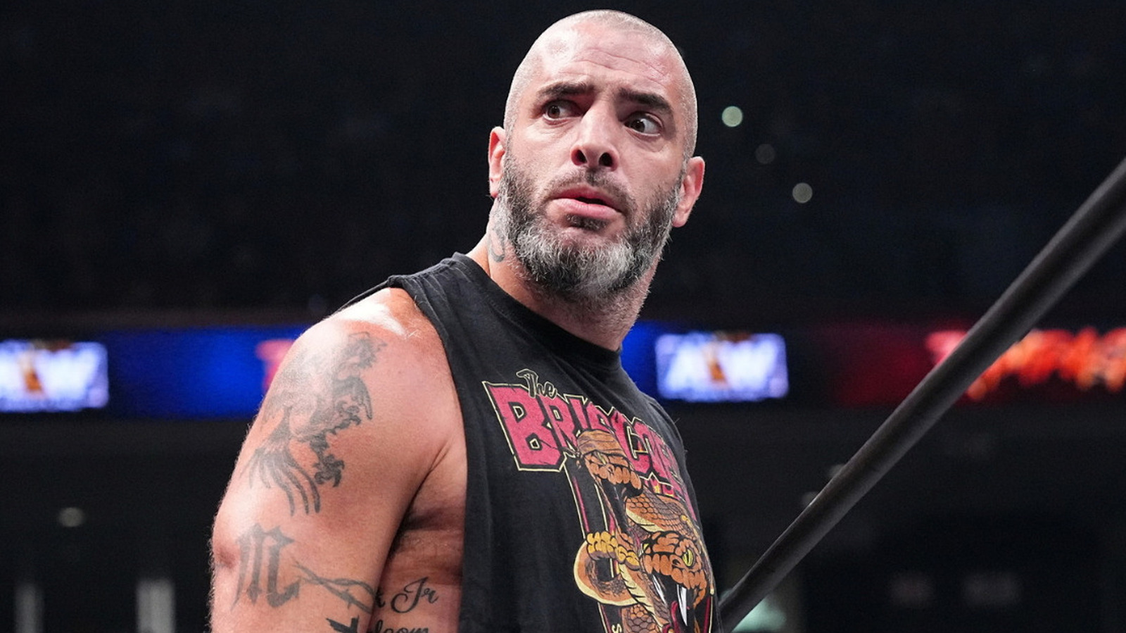 Mark Briscoe evalúa la lucha de AEW Dynasty Trios contra House Of Black
