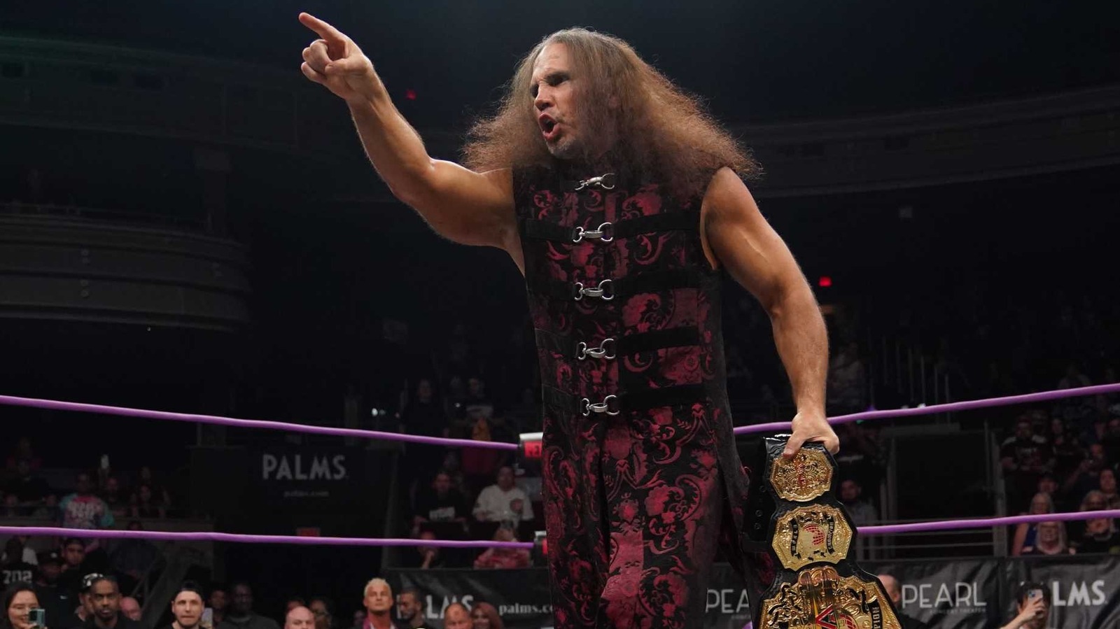 Matt Hardy reflexiona sobre trabajar para AEW y su amistad con los Young Bucks