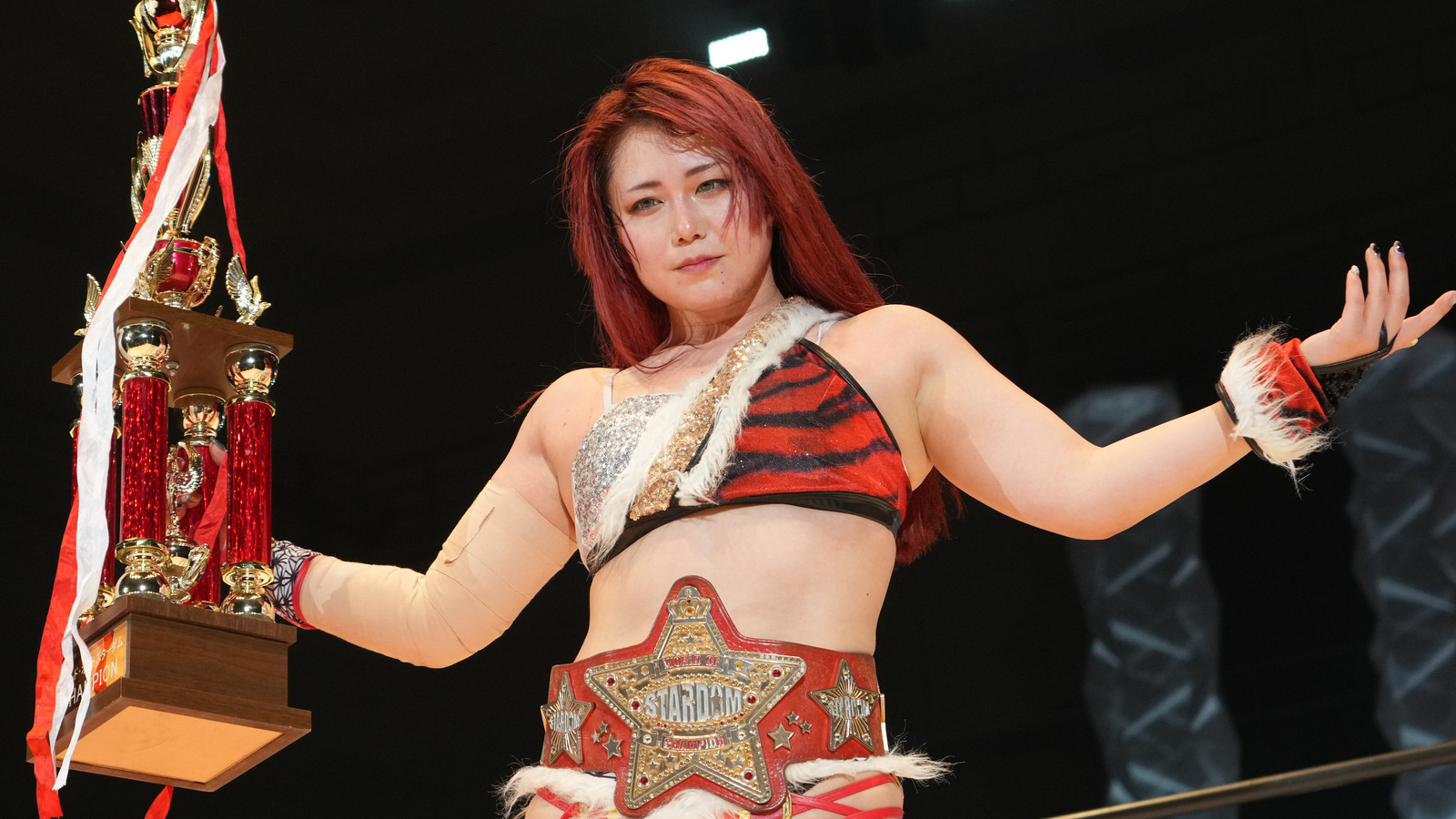 NJPW anuncia la adquisición total de Joshi Promotion World Wonder Ring STARDOM