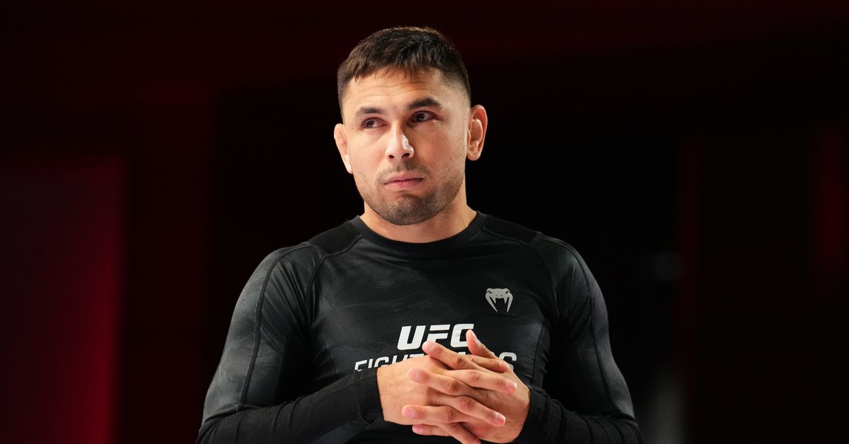 Predicciones de UFC Vegas 91 – Lucha MMA