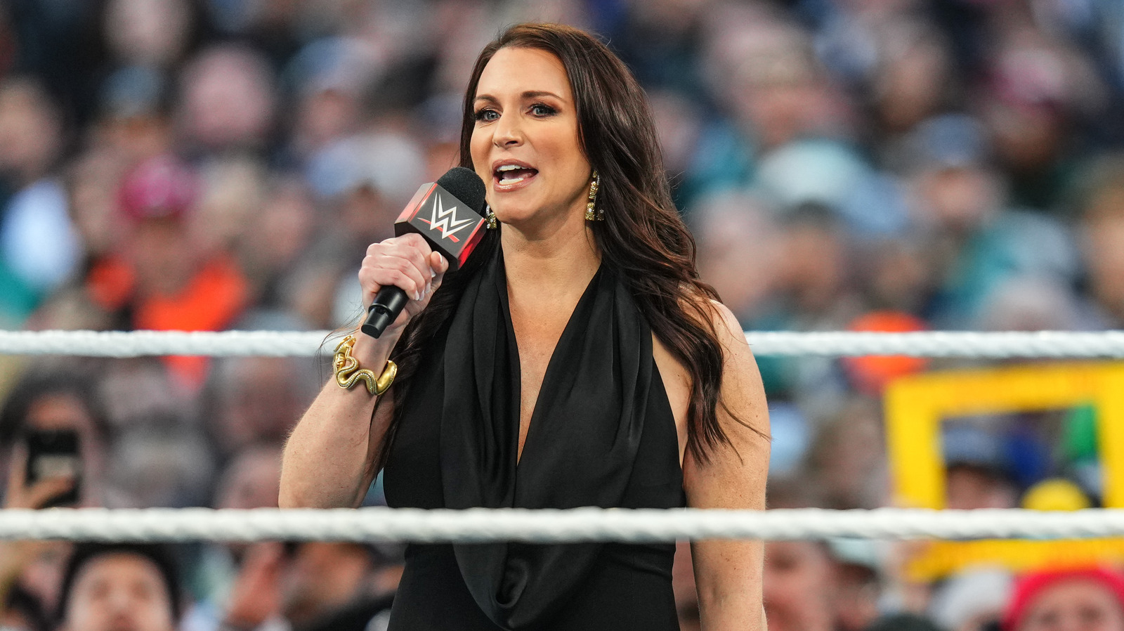 Las cosas más confusas sobre la carrera de Stephanie McMahon