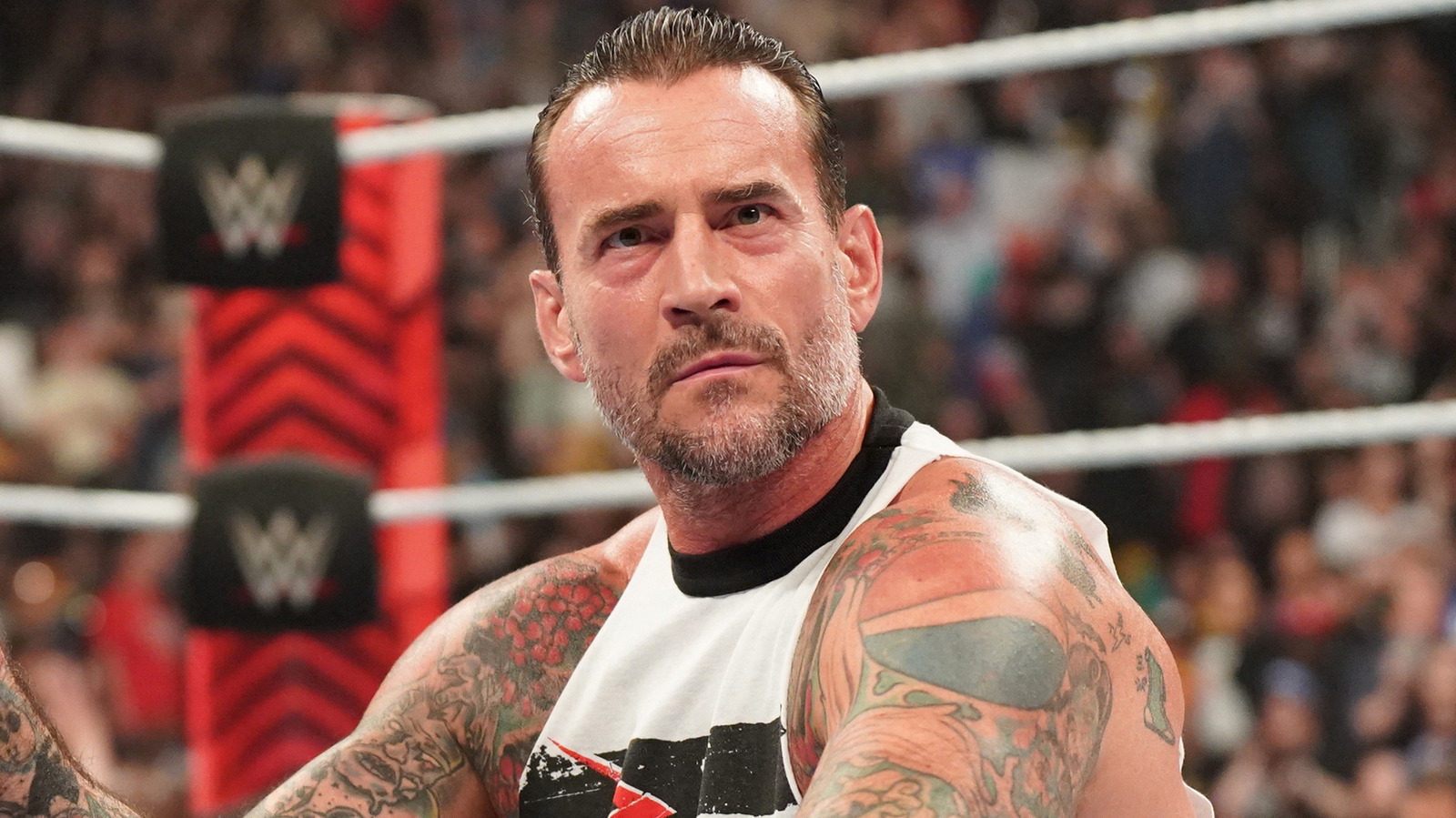 Triple H de WWE habla sobre su relación con CM Punk
