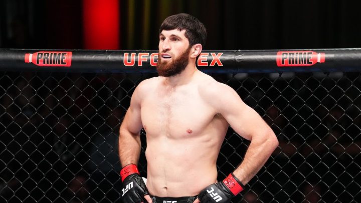 Magomed Ankalaev se enfada con Alex Pereira, "el pollo más grande de la UFC", tras la crítica a Dricus du Plessis