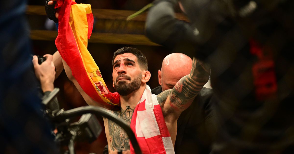 UFC 308 abierto en frio – Lucha MMA