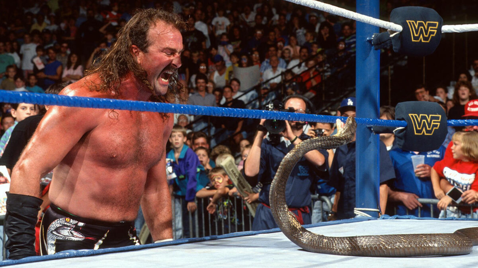 El miembro del Salón de la Fama de la WWE, Jake Roberts, habla sobre el miedo a las serpientes y cuántas veces lo han mordido