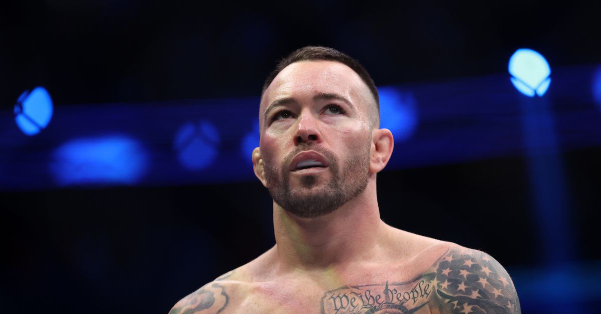 Avance de apuestas de UFC Tampa: mejores apuestas para el evento final de UFC de 2024