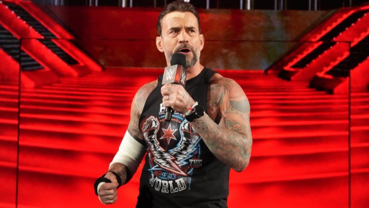 Bully Ray nombra a una persona en la WWE que podría hacer abuchear a CM Punk