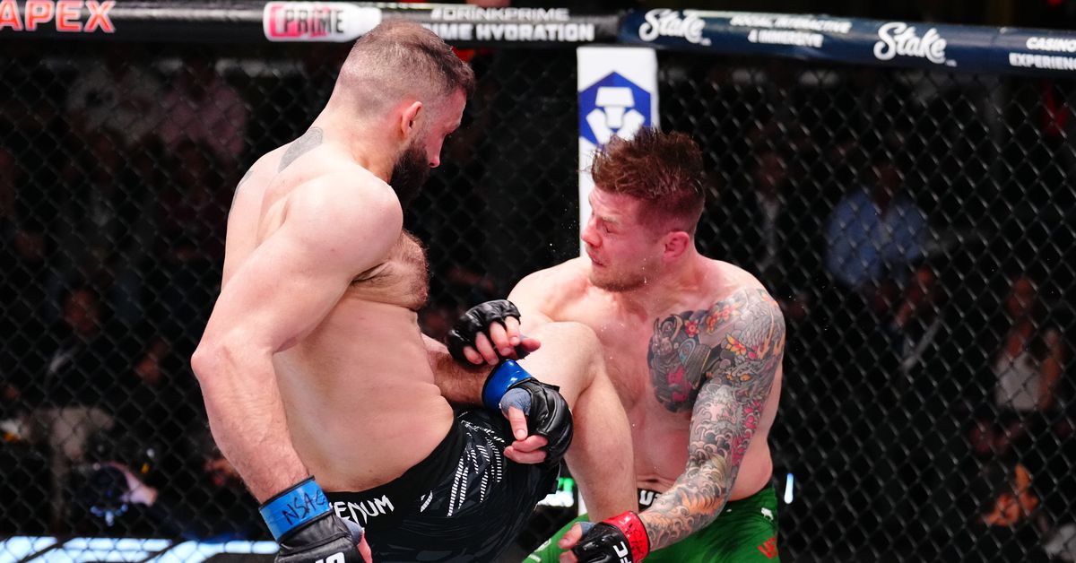 Roman Dolidze se venga de Marvin Vettori con un rendimiento castigador para ganar el evento principal de UFC Vegas 104