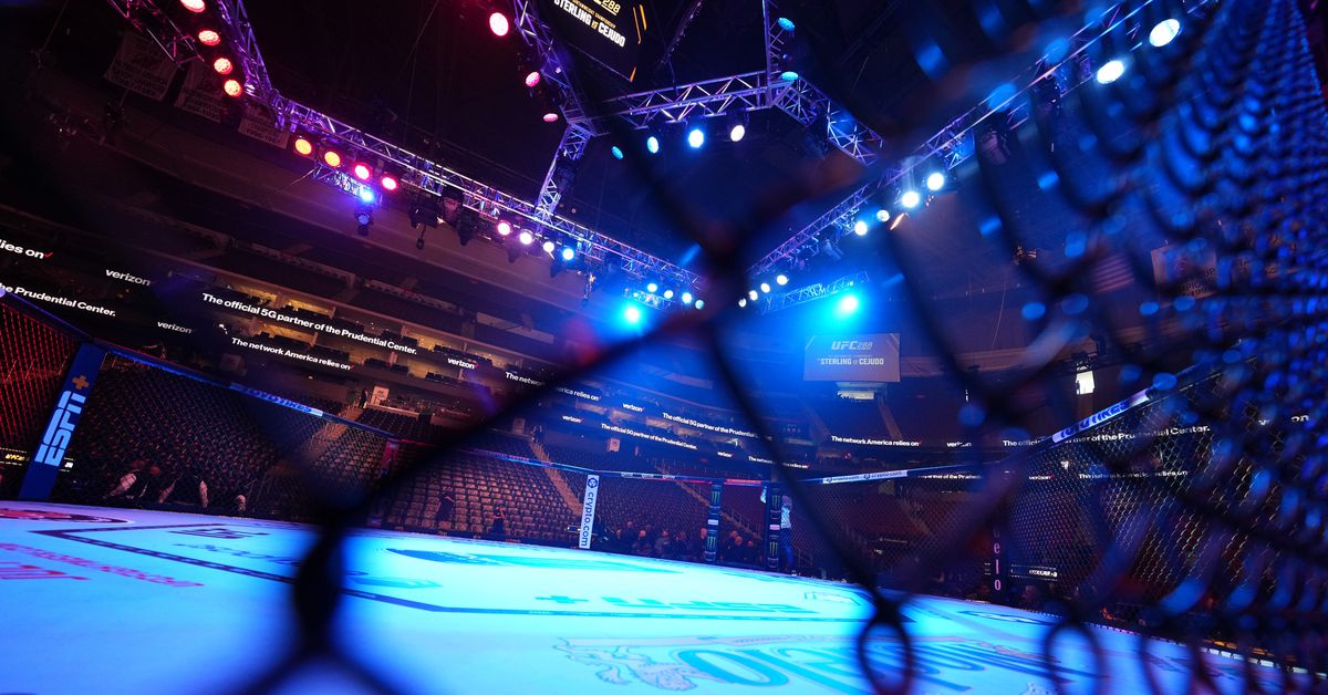 UFC 316: Los cambios de chatarra de peso gallo fundamental a Merab Dvalishvili vs. Sean O'Malley 2 Fight Card