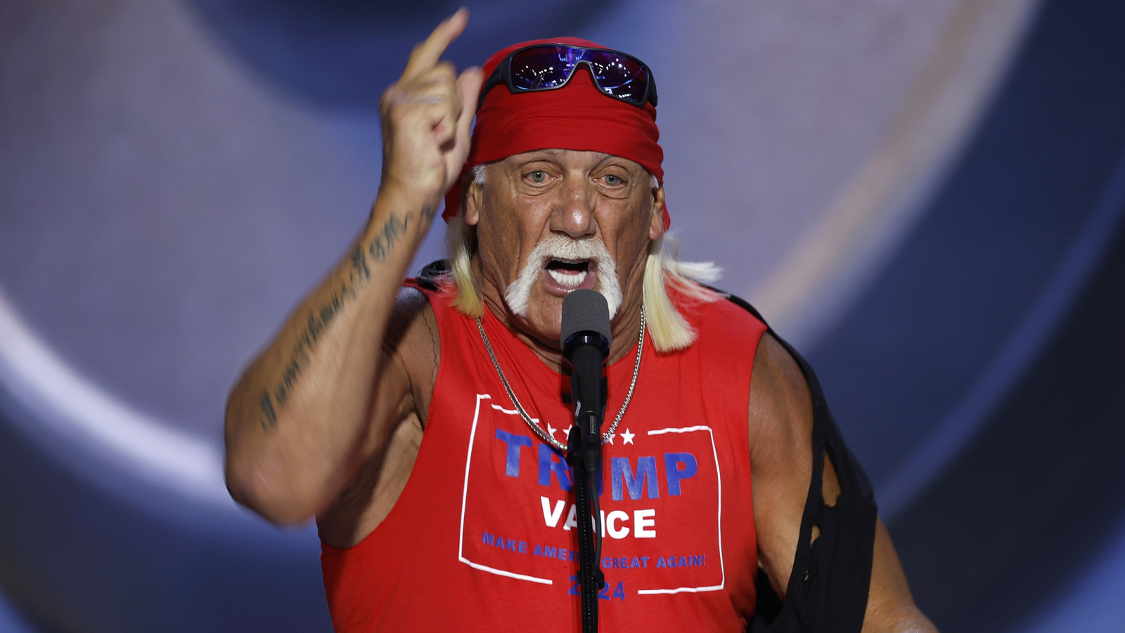 Hulk Hogan dice que el estilo libre estadounidense real financiado por la firma familiarizada con los deportes extremos