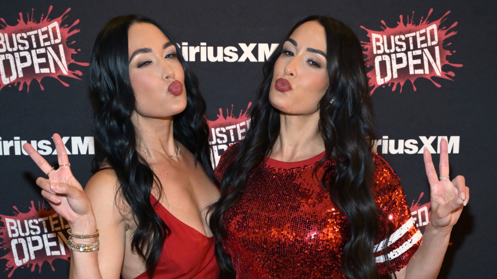 Luchadores que no pueden soportar a Nikki y Brie Bella