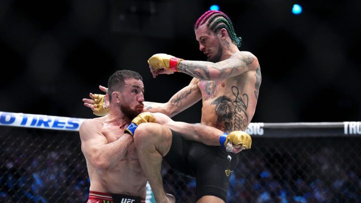 Póster UFC 316 lanzado con un par de partidos de pelea de título