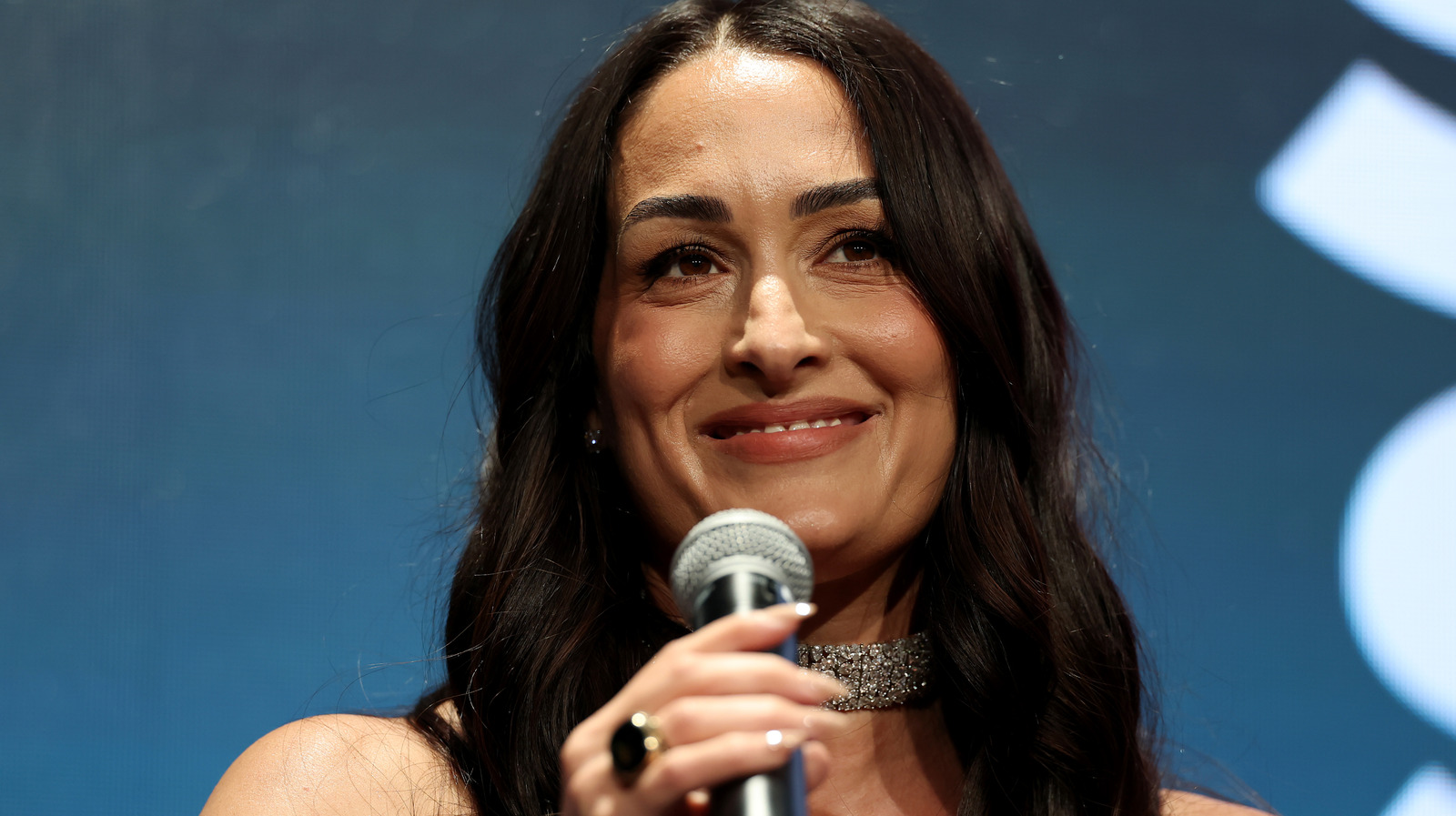 Según los informes, la ex estrella de la WWE Nikki Bella pagó una gran suma al ex marido después del divorcio