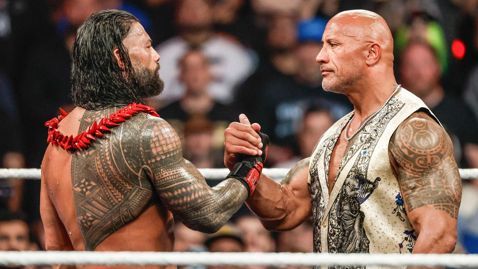 Tommy Dreamer presenta agujeros que han surgido en la saga Bloodline de WWE