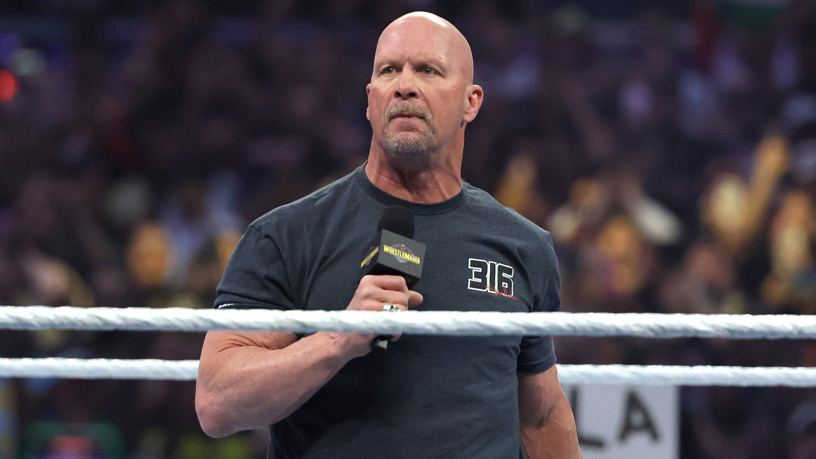 ¿Qué significa cuando termina un luchador?