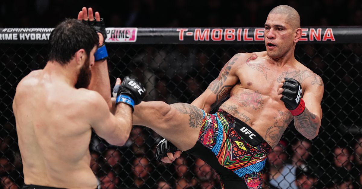 Alex Pereira revela Timeline para el regreso de UFC, dice que el magomed Ankalaev habla basura 'porque nadie sabe que es campeón'