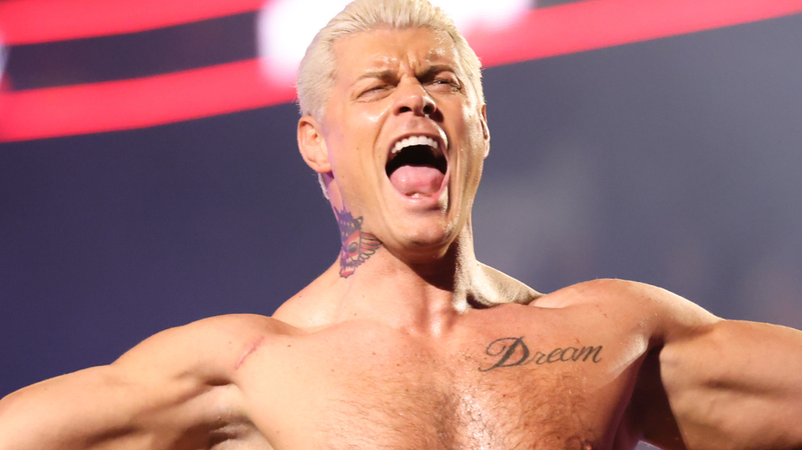 La estrella de la WWE, Cody Rhodes, ocupa su tiempo liderando la facción Bullet Club